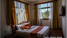 Kaizun Bed & Breakfast - SUPER-DELUXE-3